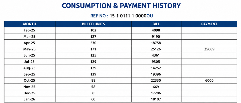 CONSUMPTION & PAYMENT HISTORY